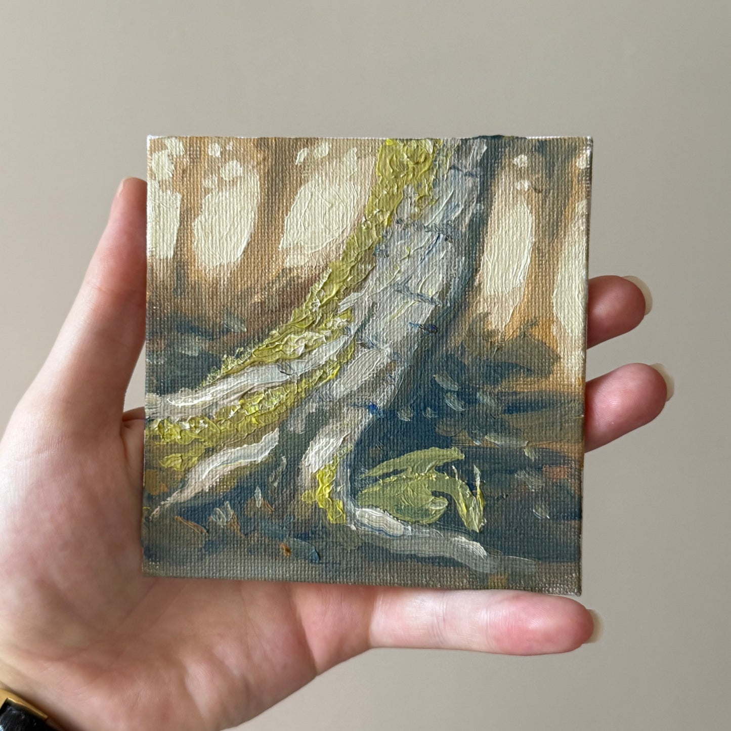 “Birch Baby”, original 4x4” oil painting