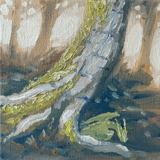 “Birch Baby”, original 4x4” oil painting