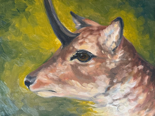 “Dear Deer”, 9x12” Oil Original